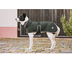 Softshell-Hundemantel mit Fleecekragen Frida