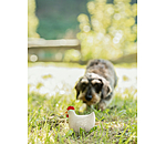 Quietsch-Spielzeug Chicken für Hunde