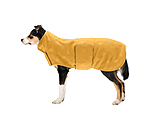 golden-mango