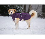 Winter-Hundemantel Marlon, 200-300 g