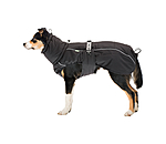 Winter-Hundemantel Marlon, 200-300 g