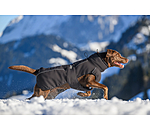 Winter-Hundemantel Marlon, 200-300 g