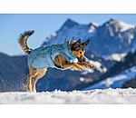 Winter-Hundemantel Wonderland, 140 g