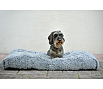 Hundebett Marlie
