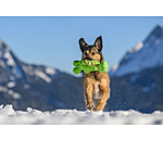 Hundespielzeug Strong Dino