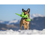 Hundespielzeug Strong Dino