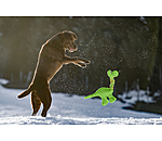 Hundespielzeug Strong Dino