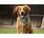 Reflex Halstuch f�r Hunde