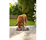 Doppel-Futterstation