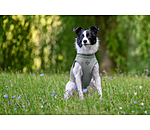 k�hlendes Shirt Frostie