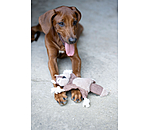 Hundespielzeug Eichh�rnchen