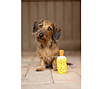 Hundespielzeug Eis am Stiel mit Quietsche