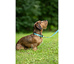 Halsband und Leine Set Zap