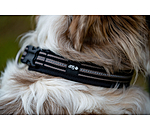 Halsband Comfort Fit