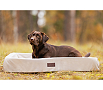 Hundebett Komet