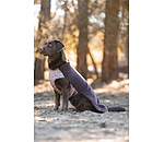 Hunde-Unterzieh- und Fleecepullover Basic
