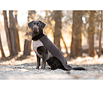 Hunde-Unterzieh- und Fleecepullover Basic