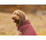 Hunde-Unterzieh- und Fleecepullover Basic