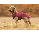 Hunde-Unterzieh- und Fleecepullover Basic
