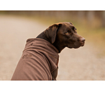 Hunde-Unterzieh- und Fleecepullover Basic