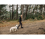 Funktions-Softshelljacke 2-in-1 Stonepeak