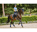 Funktionsgamaschen Swiss Design (Hinterbeine)