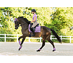 Streichkappen Sophistication