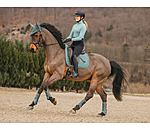 Mesh Gamaschen Glitter, Hinterbeine