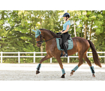 Funktionsgamaschen Mesh-Technology (Vorderbeine)