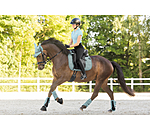 Funktionsgamaschen Mesh-Technology (Vorderbeine)