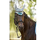 Fliegenhaube Swiss Design