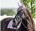 Fliegenhaube Swiss Design