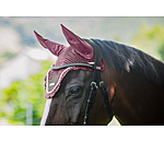 Fliegenhaube Swiss Design