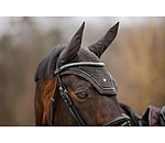 Fliegenhaube Brilliant