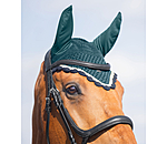 Fliegenhaube Primary