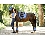 Fliegenhaube Mesh-Technology