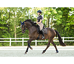 Fliegenhaube Signature III