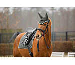 Fliegenhaube Glimmering