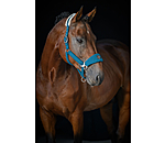 Teddyfleece-Halfter Equestrian Sports
