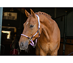 Anatomisches Halfter Sophistication