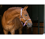 Anatomisches Halfter Sophistication