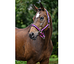 Halfter Swiss Design II