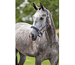 Halfter Swiss Design II