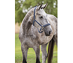 Halfter Swiss Design II