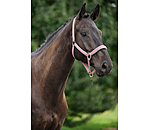 Halfter Essential II