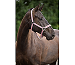 Halfter Essential II