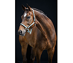 Halfter Essential II