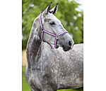 Halfter Essential II