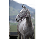 Halfter Twinkle