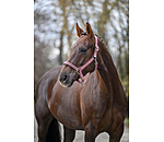 Halfter Twinkle